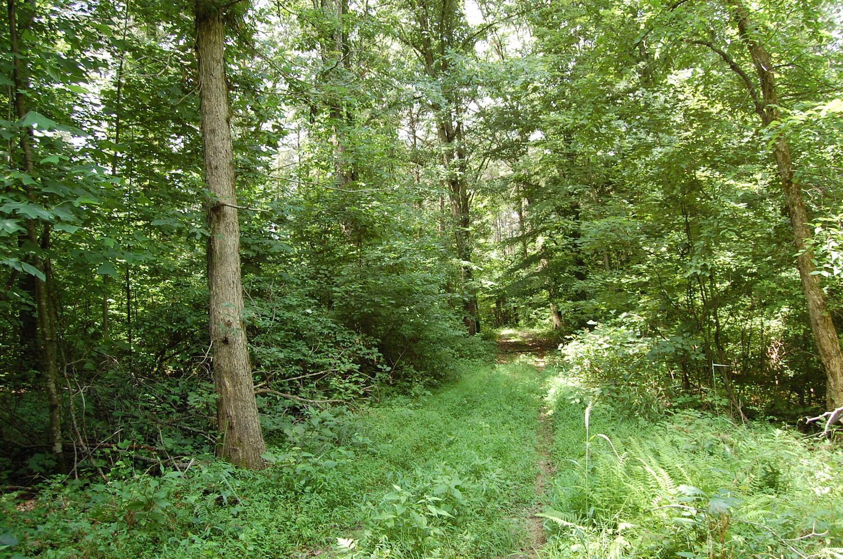 141 Spring Run Road Vinton, OH 45686 - Photo 25 of 50