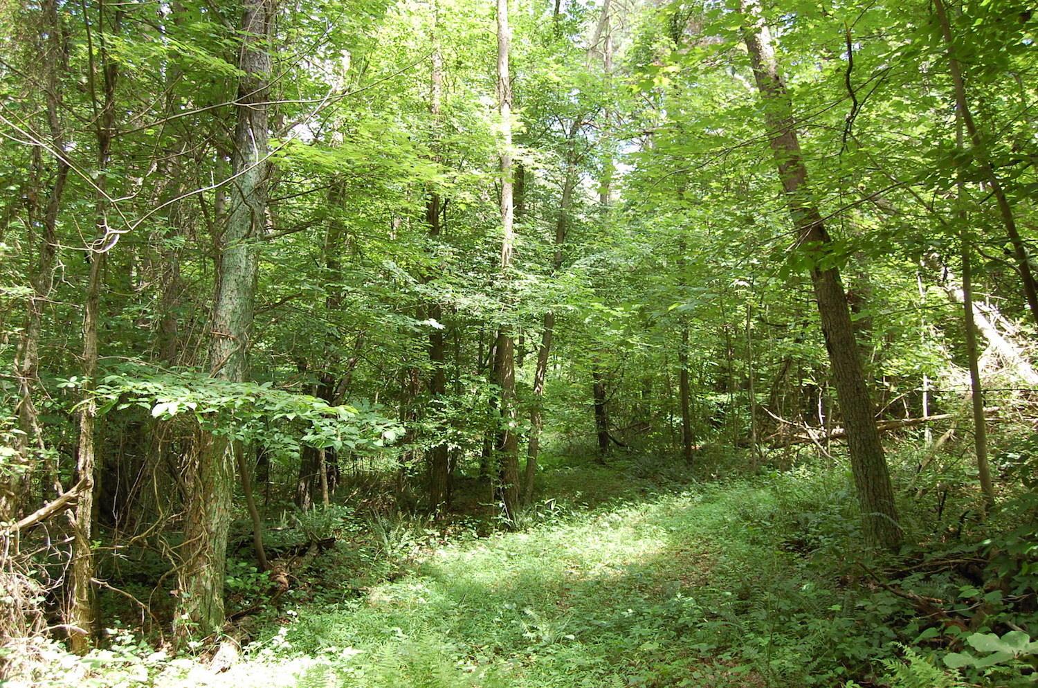 141 Spring Run Road Vinton, OH 45686 - Photo 28 of 50