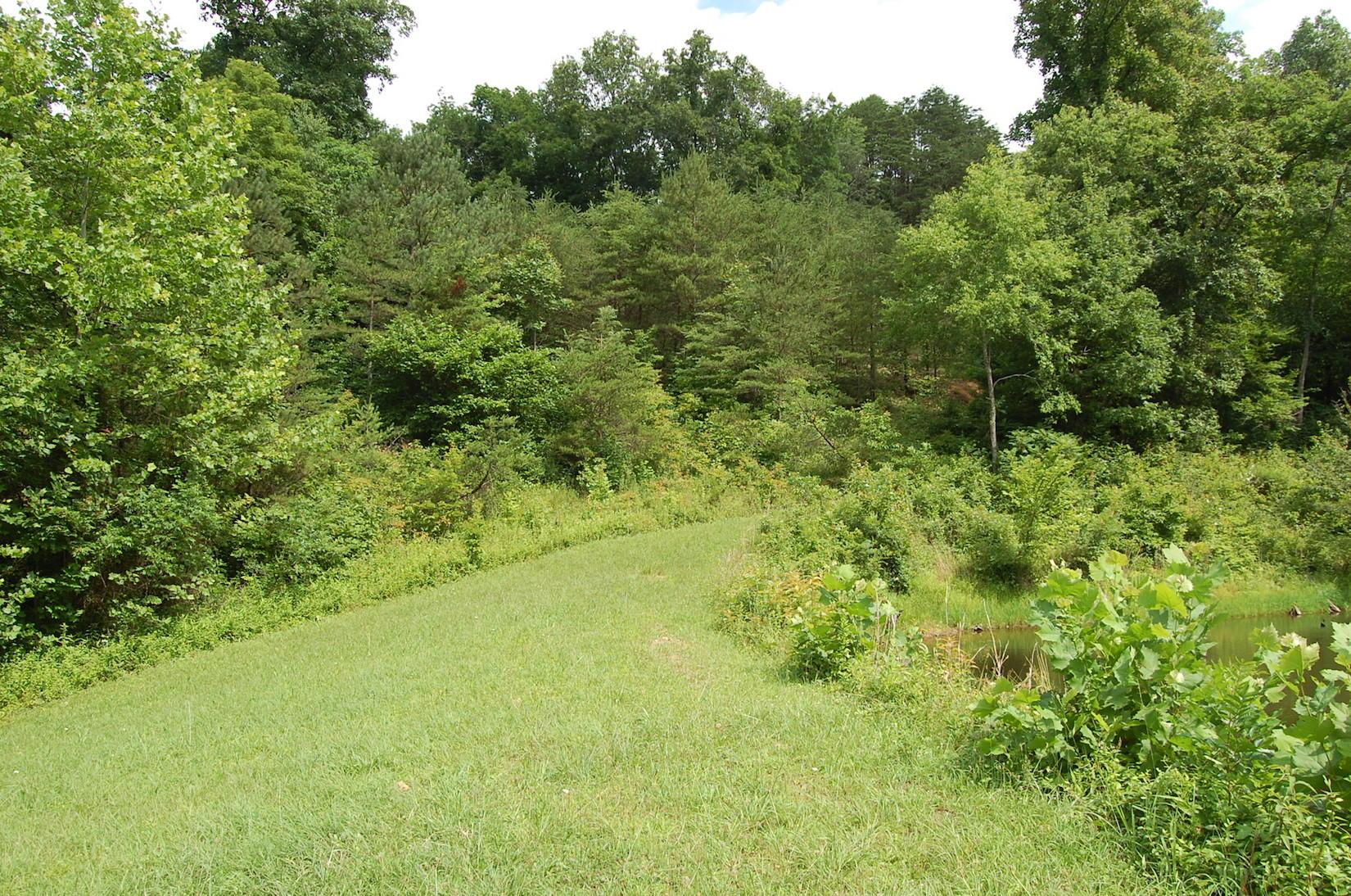 141 Spring Run Road Vinton, OH 45686 - Photo 3 of 50