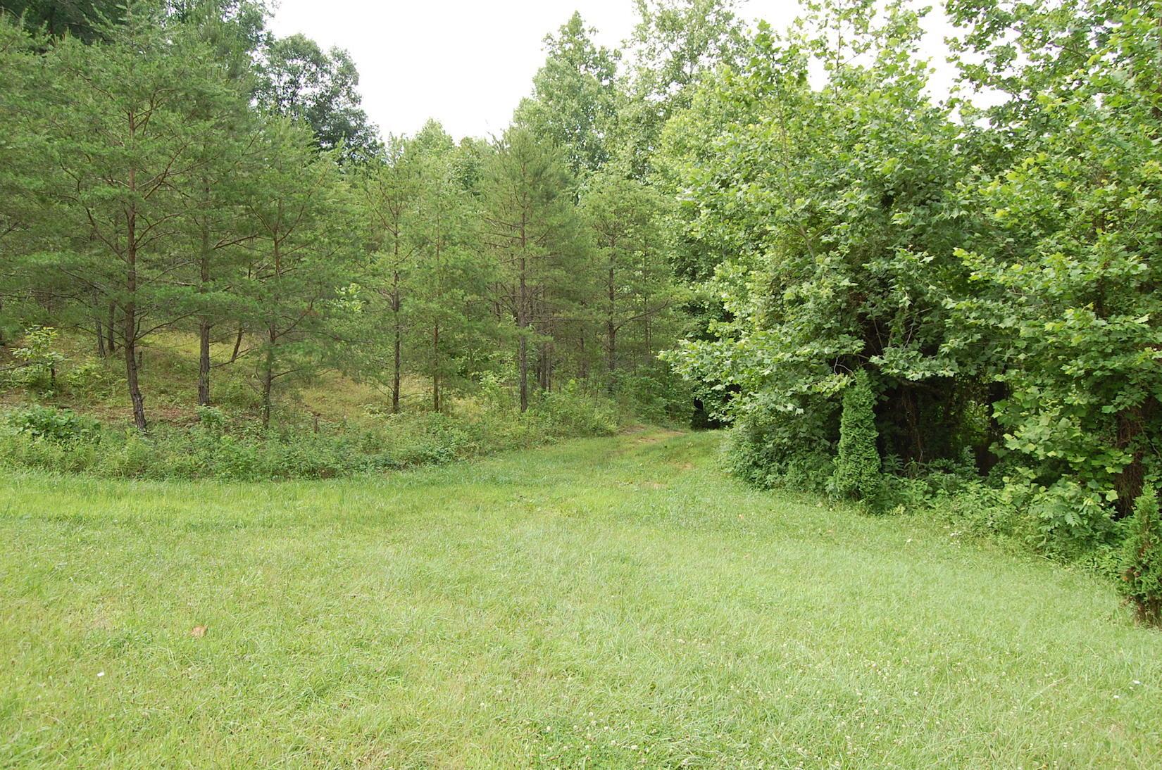 141 Spring Run Road Vinton, OH 45686 - Photo 4 of 50