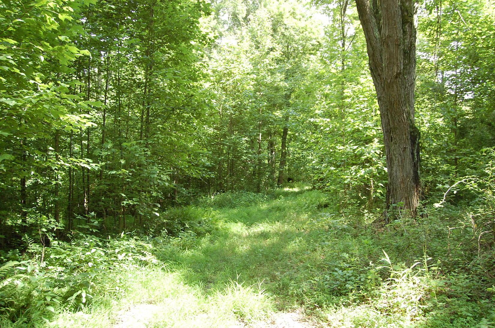 141 Spring Run Road Vinton, OH 45686 - Photo 5 of 50