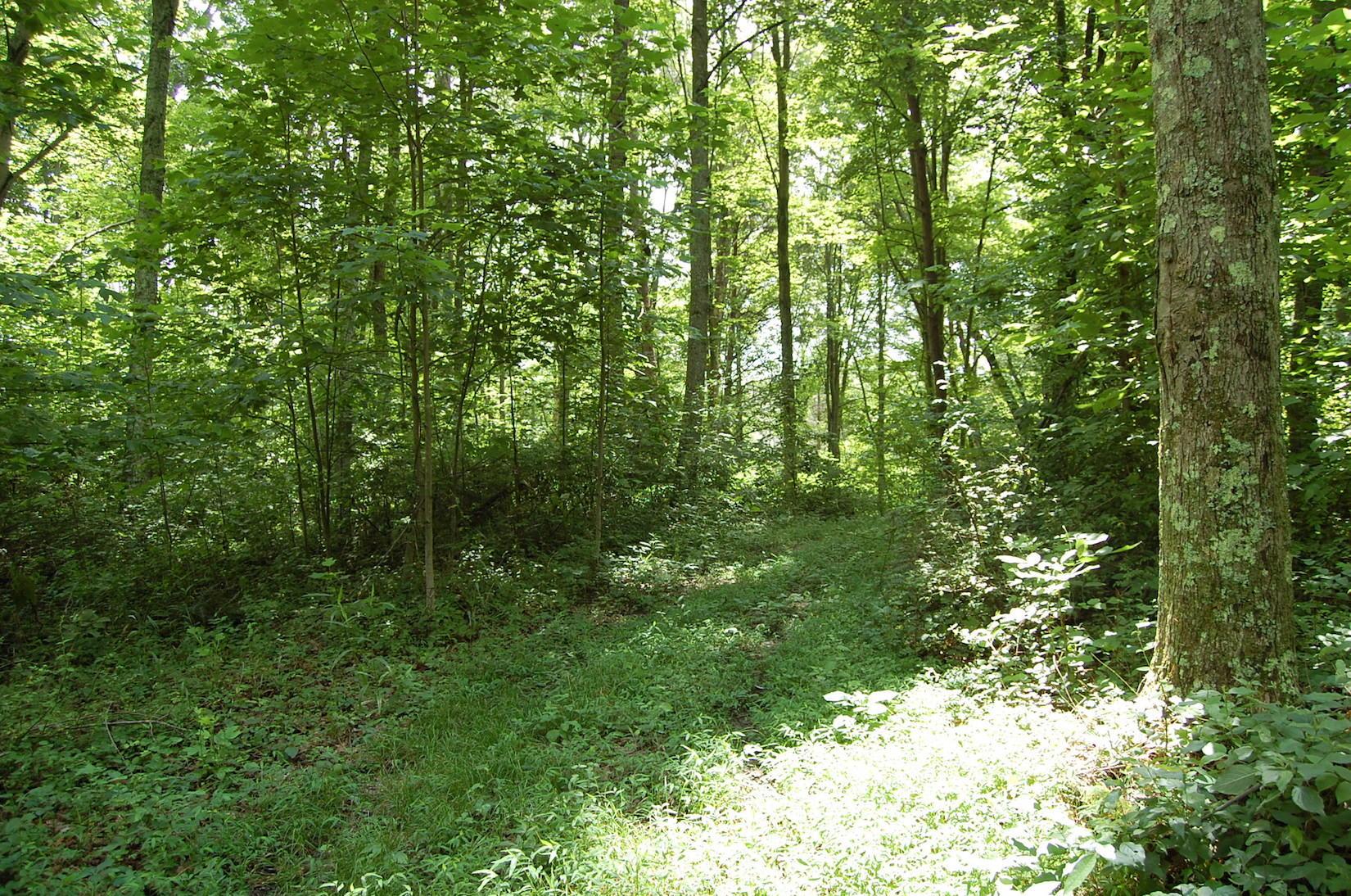 141 Spring Run Road Vinton, OH 45686 - Photo 6 of 50
