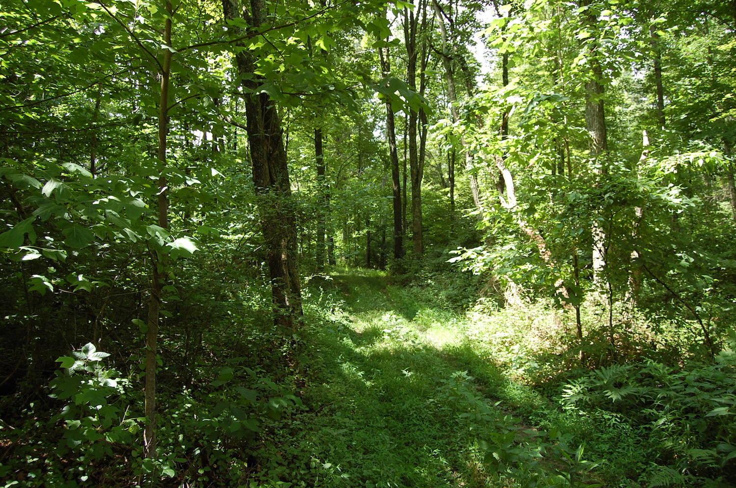 141 Spring Run Road Vinton, OH 45686 - Photo 7 of 50