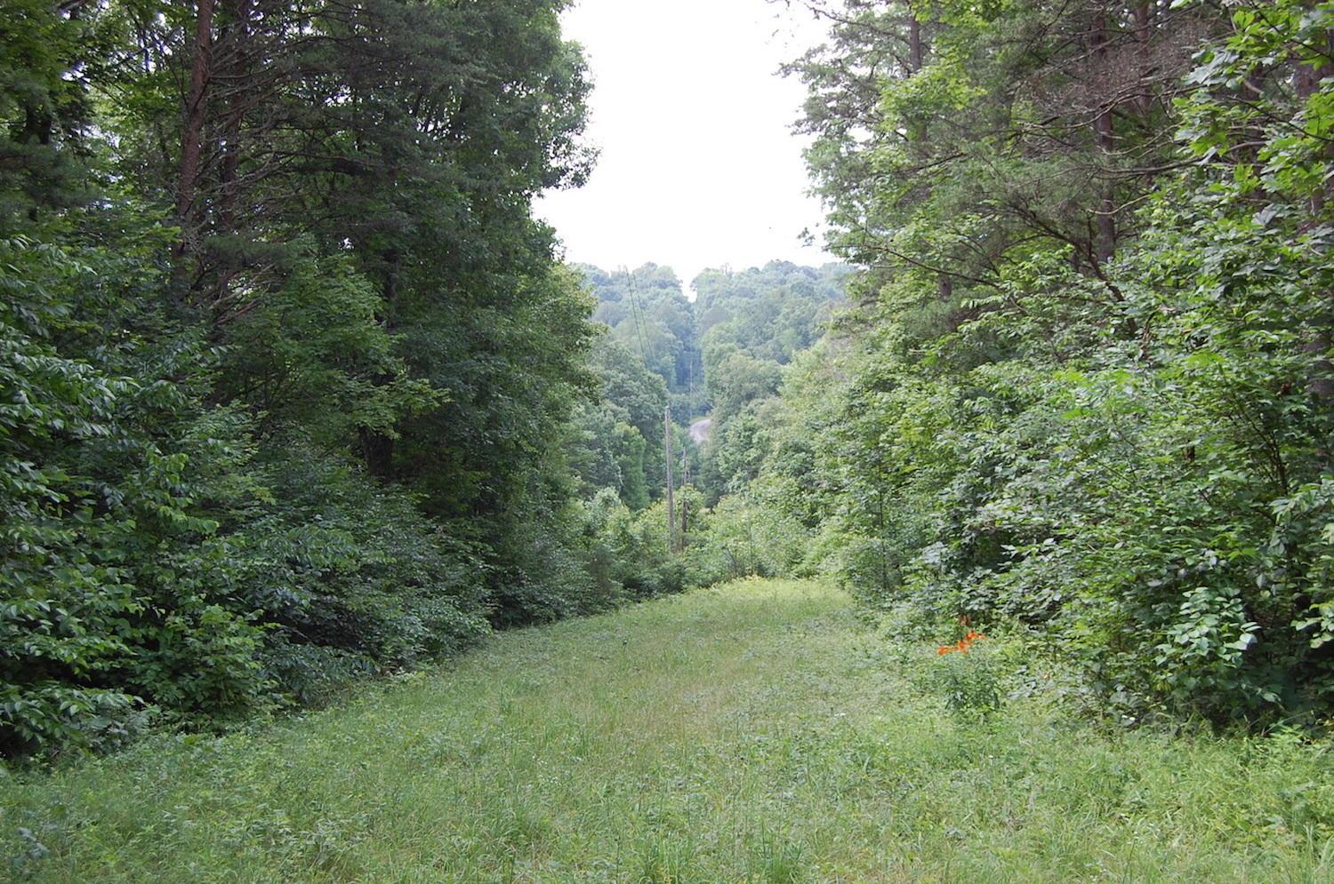 141 Spring Run Road Vinton, OH 45686 - Photo 8 of 50