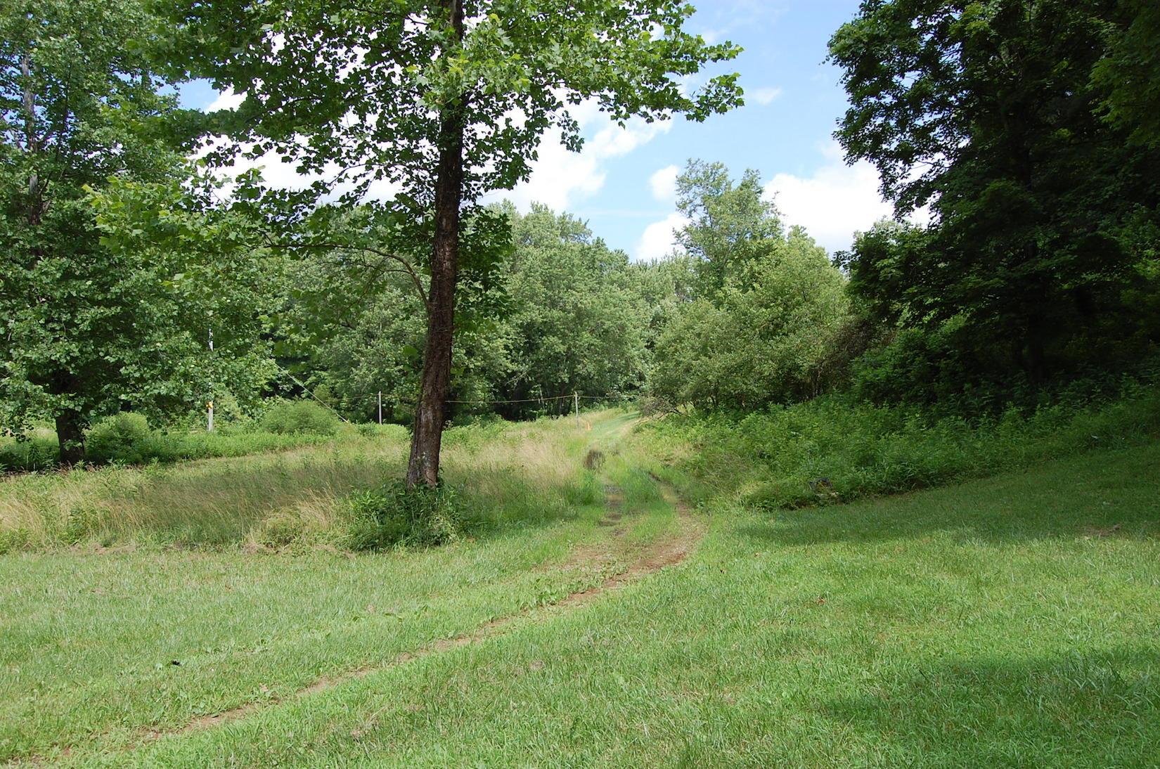 141 Spring Run Road Vinton, OH 45686 - Photo 9 of 50