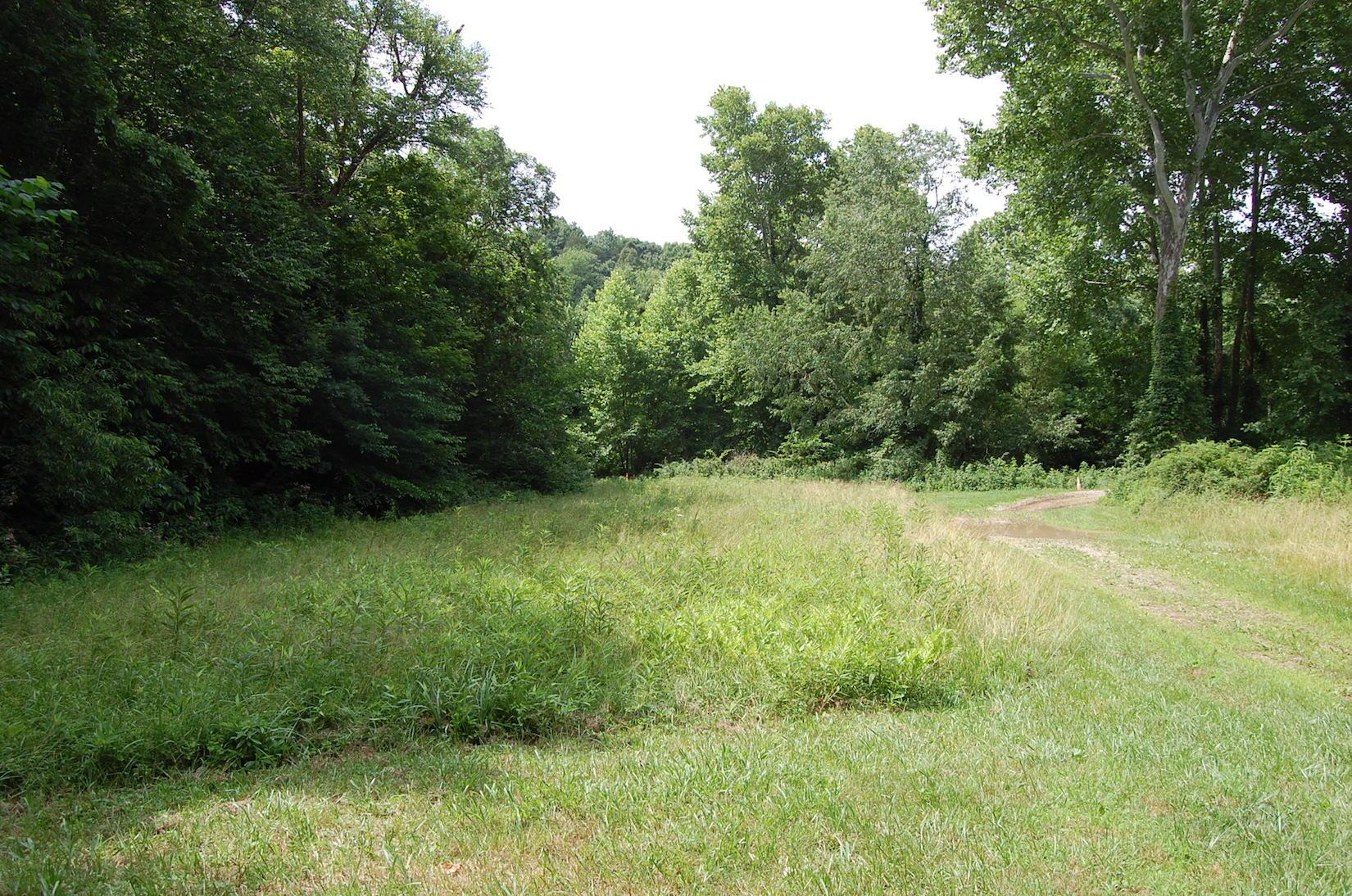 141 Spring Run Road Vinton, OH 45686 - Photo 10 of 50
