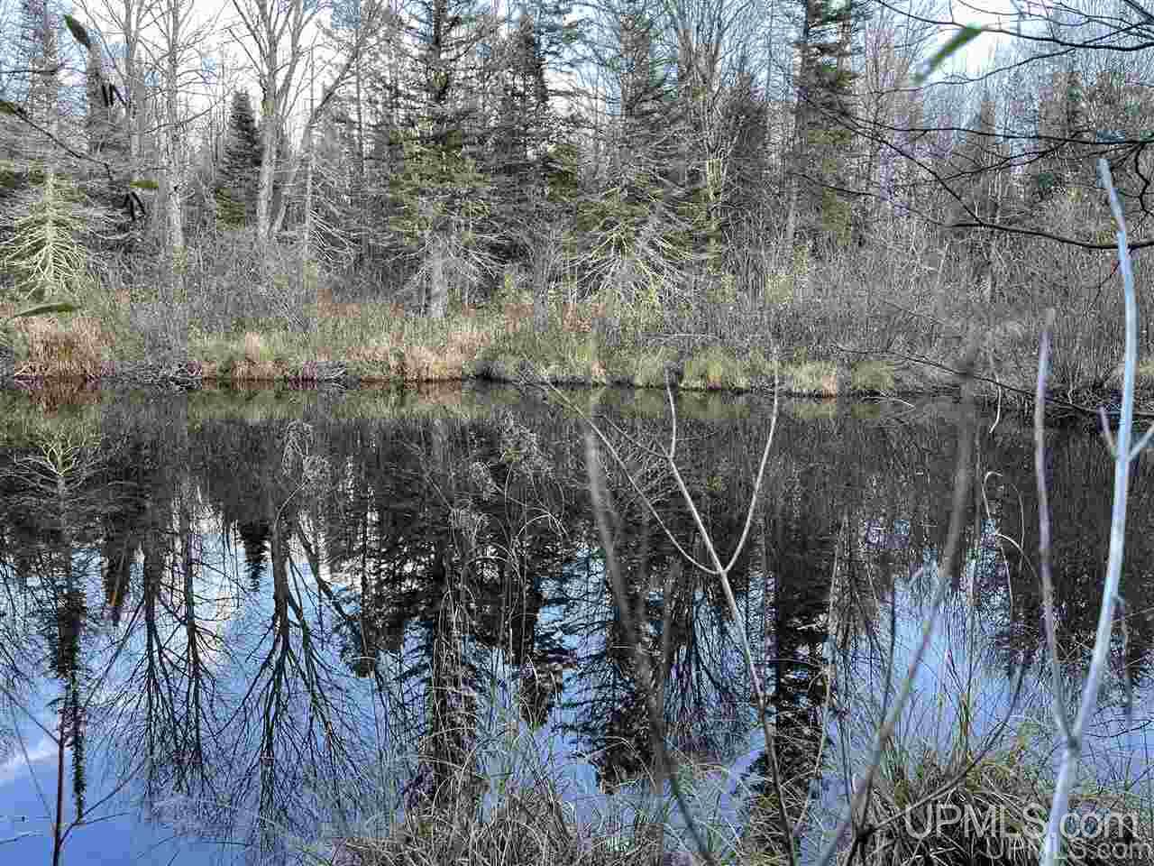 Tbd South Johnson Road Bessemer, MI 49911 - Photo 9 of 9
