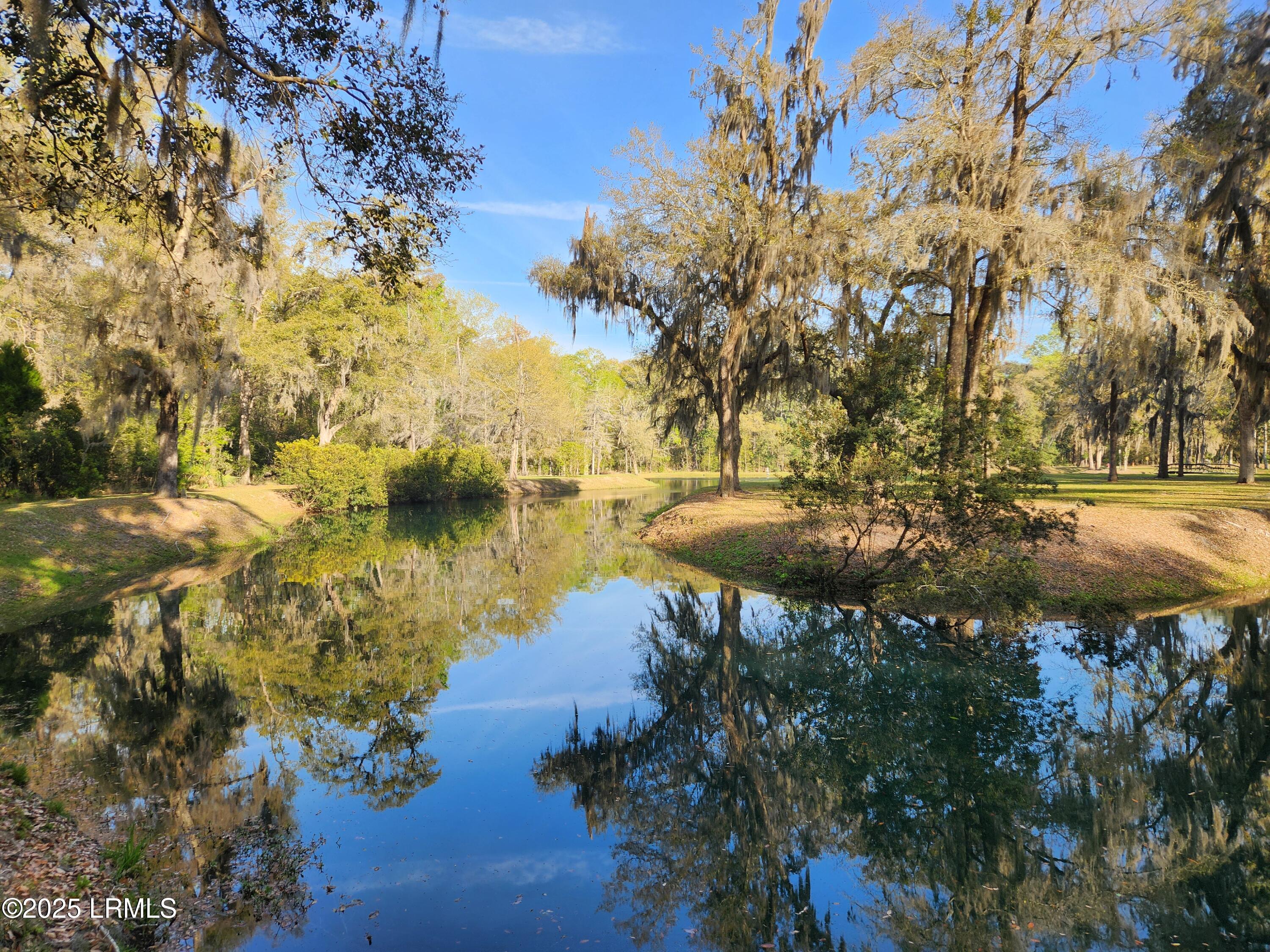 5 Barnaby Bluff Seabrook, SC 29940 - Photo 31 of 61 Lake Izard (1)