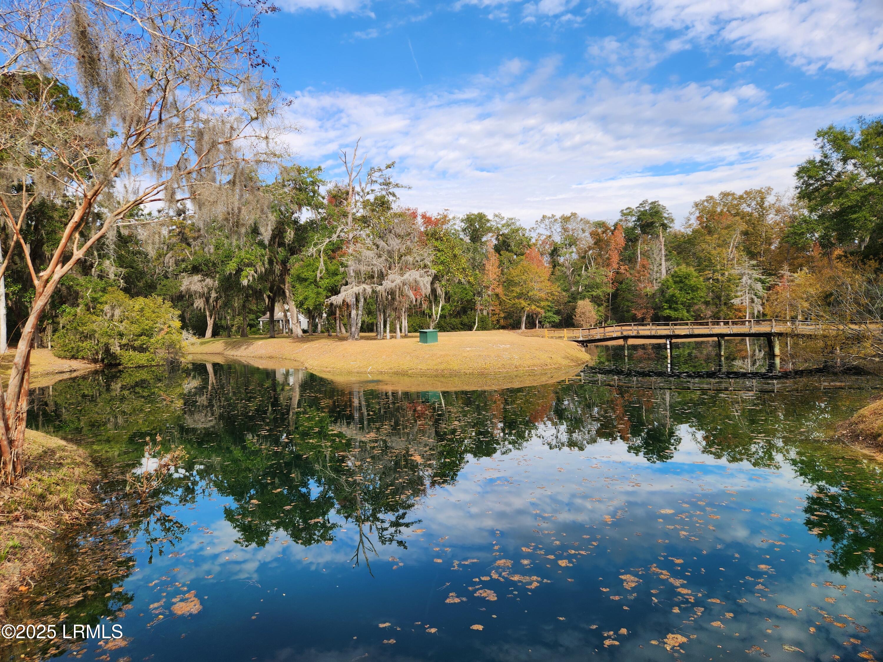 5 Barnaby Bluff Seabrook, SC 29940 - Photo 32 of 61 Lake Izard 1