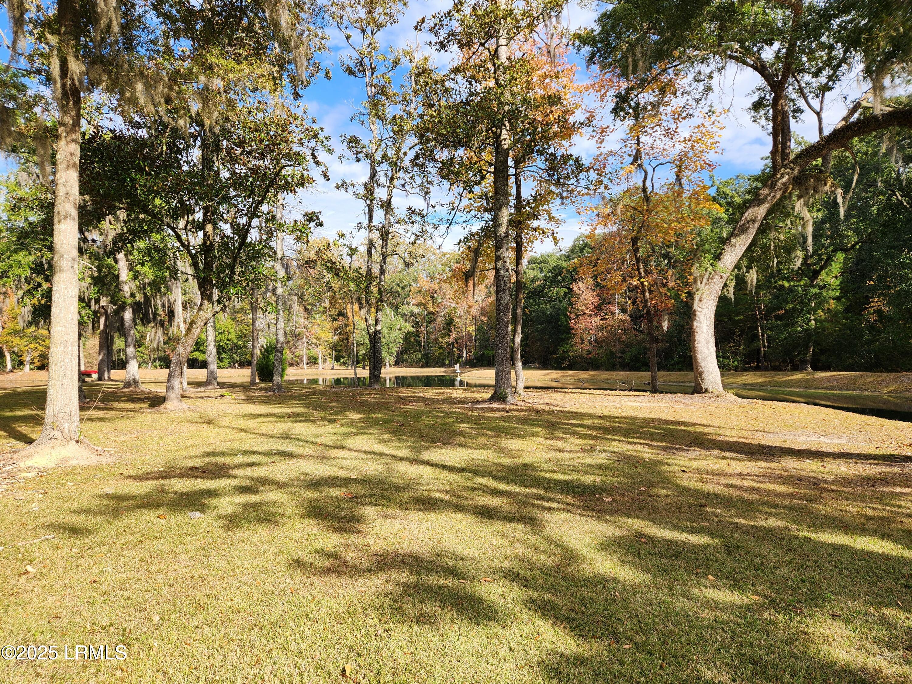5 Barnaby Bluff Seabrook, SC 29940 - Photo 33 of 61 Lake Izard 2