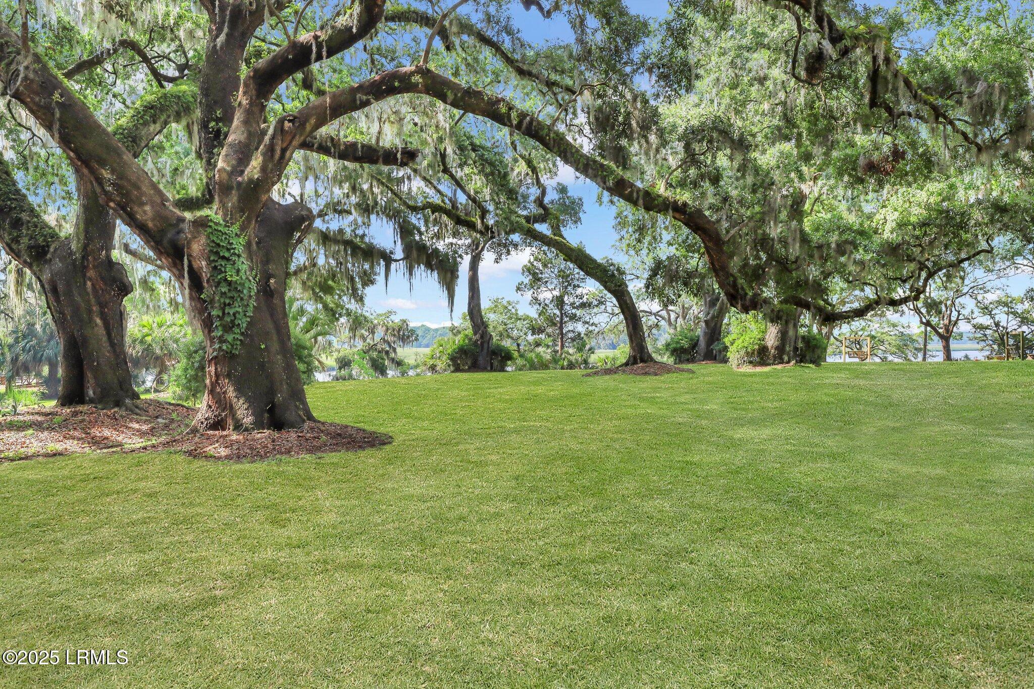 5 Barnaby Bluff Seabrook, SC 29940 - Photo 5 of 61 Majestic Live Oaks