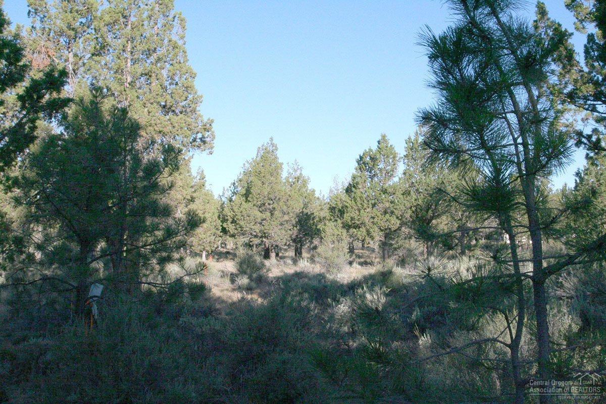 18433 Pinehurst Road Bend, OR 97703 - Photo 5 of 11 Additional Photo