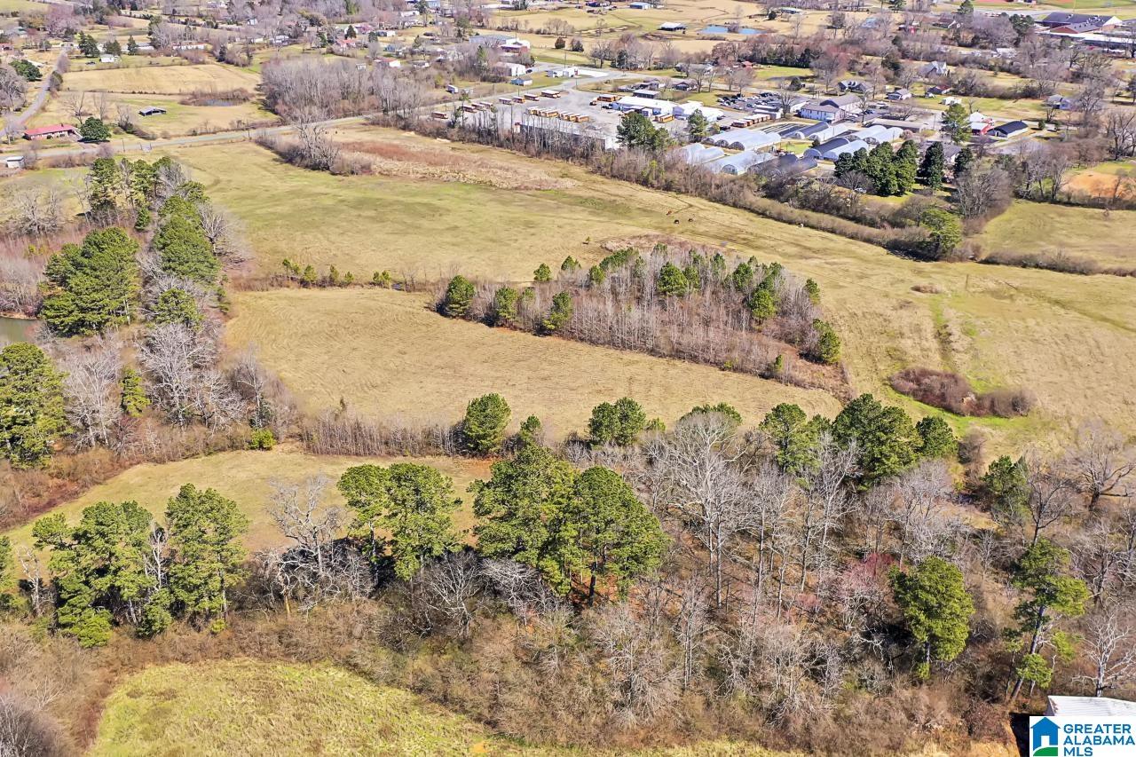 0 Highway 160 Cleveland, AL 35049 - Photo 5 of 8