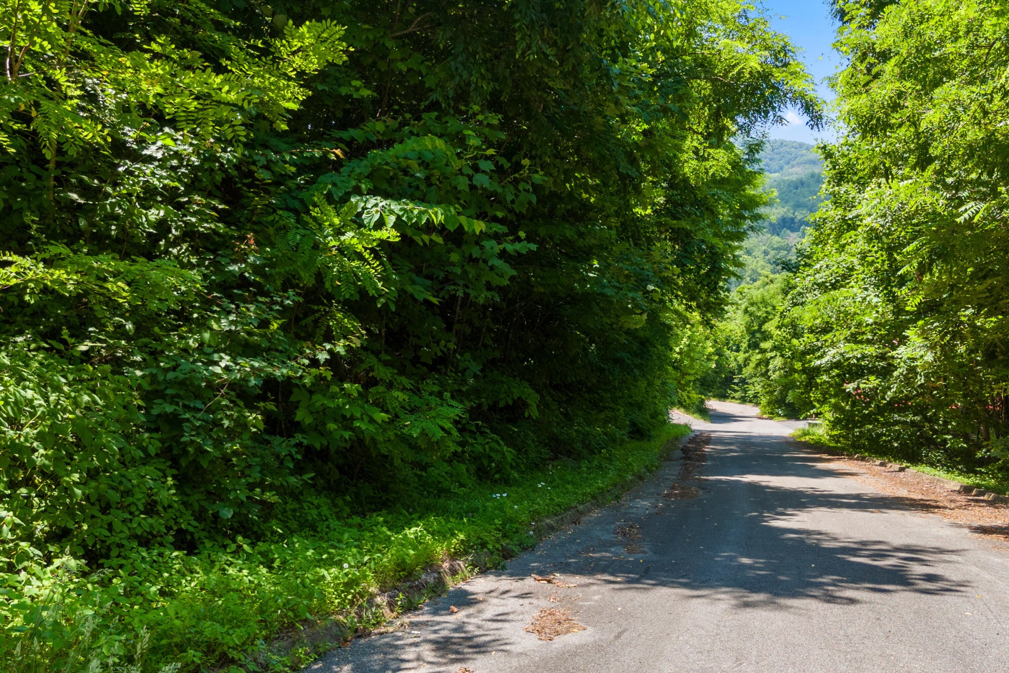 23 Red Wolfe Road Sevierville, TN 37862 - Photo 7 of 11 Gallery Image 7