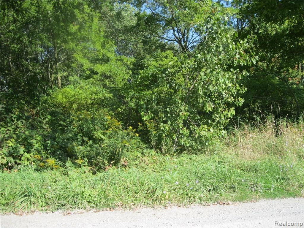 Ob Green Ob Green Green Road Goodells, MI 48027 - Photo 3 of 10