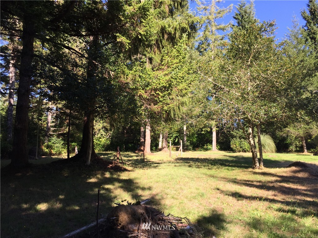 16009 Sandridge Road Long Beach, WA 98631 - Photo 6 of 9 Gallery Image 6