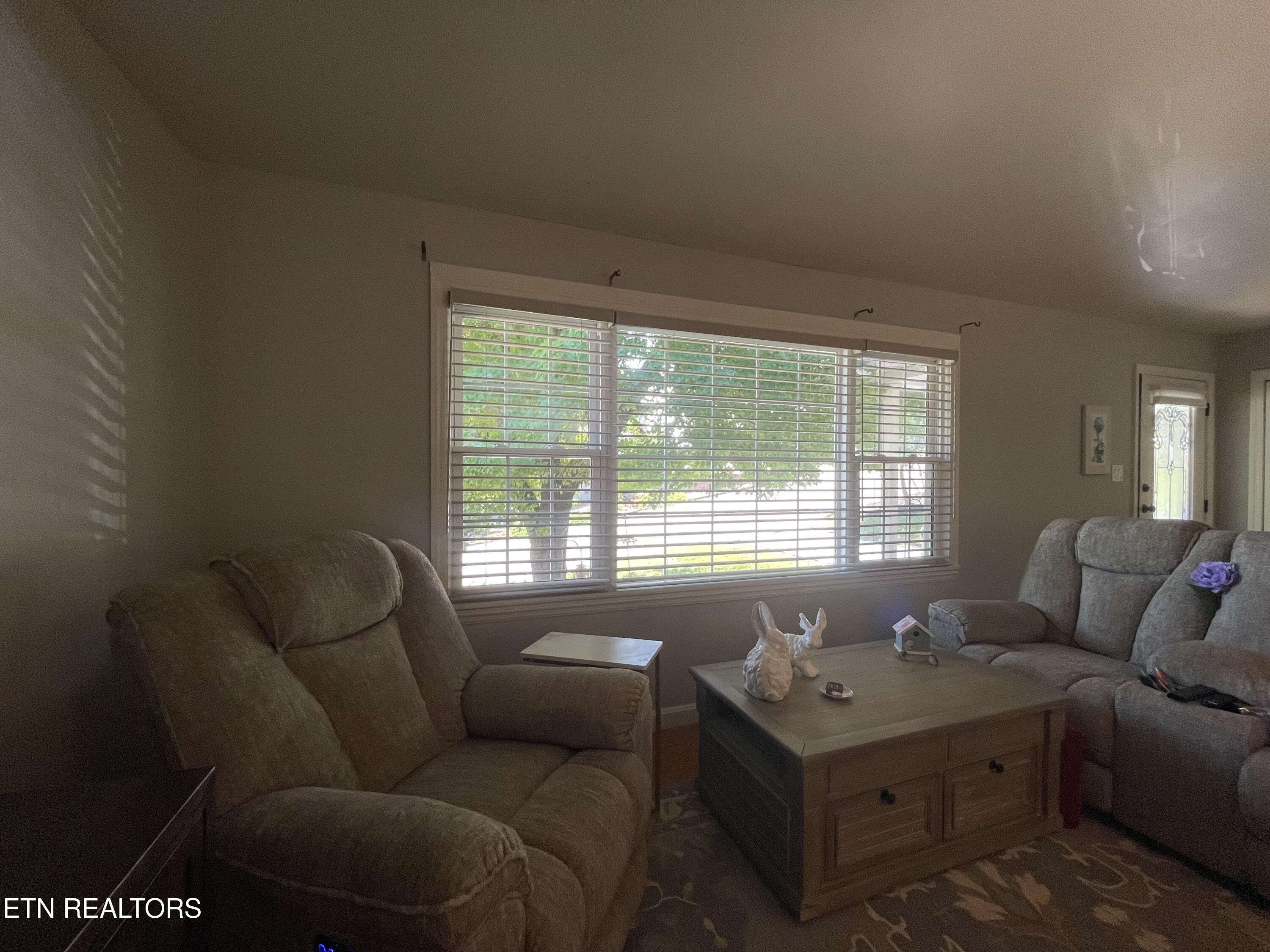 217 West Hicks Street Clinton, TN 37716 - Photo 21 of 41 IMG_5335