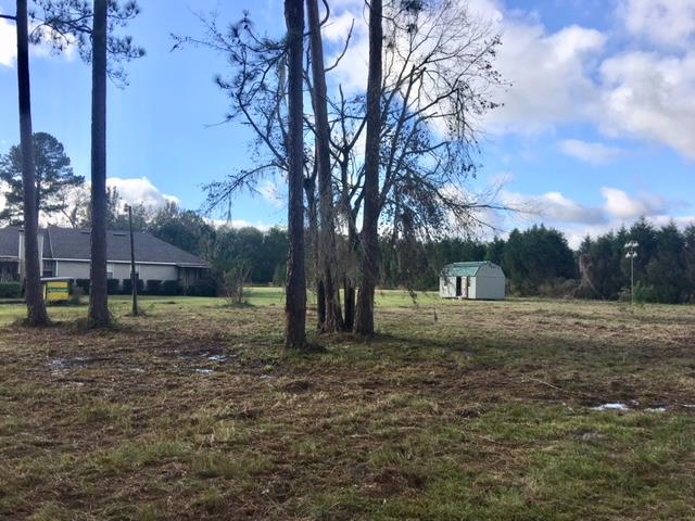 3402 Garner Road Ray City, GA 31645 - Photo 49 of 50 Gallery Image 49