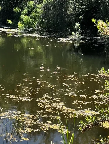 a view of a lake view