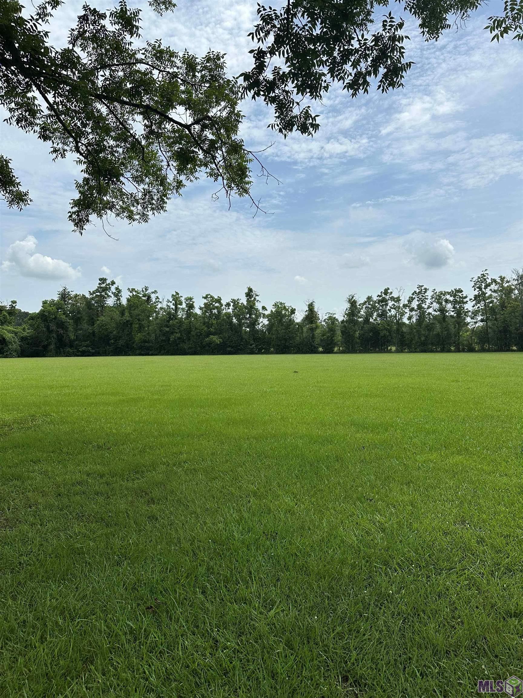 Tbd Bernard Road Opelousas, LA 70570 - Photo 4 of 5 Gallery Image 4