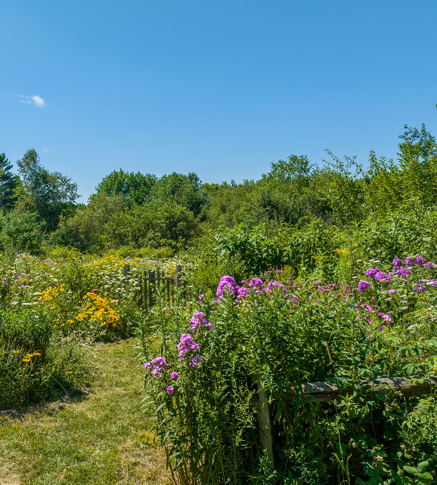 712 Halldale Road Montville, ME 04941 - Photo 12 of 75 DJI_0208
