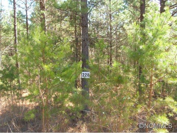Lot#228 Bitterroot Circle Rutherfordton, NC 28139 - Photo 2 of 3 Gallery Image 2