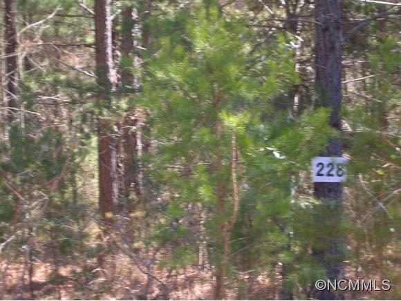 Lot#228 Bitterroot Circle Rutherfordton, NC 28139 - Photo 3 of 3 Gallery Image 3