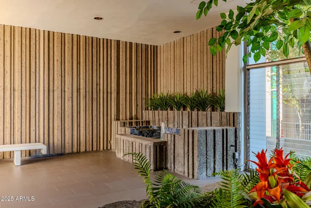 a view of a garden with a chair