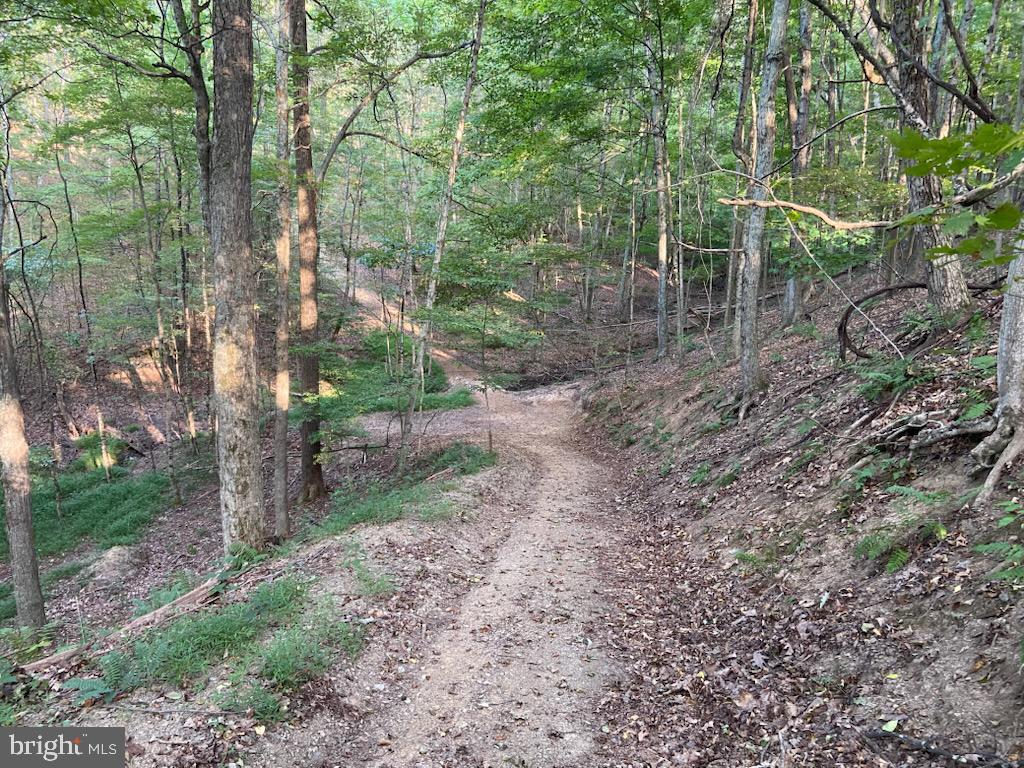 12662 Ridgewood Drive Huntingdon, PA 16652 - Photo 31 of 37