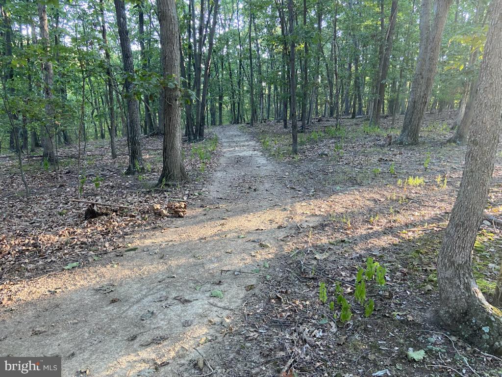 12662 Ridgewood Drive Huntingdon, PA 16652 - Photo 32 of 37