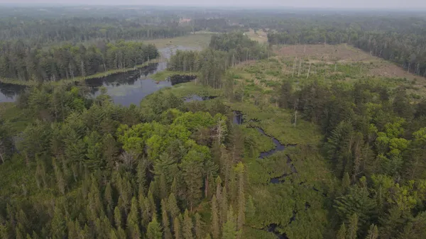 $174,900 | Parcel B Cherry Creek Road, Grayling, MI 49738