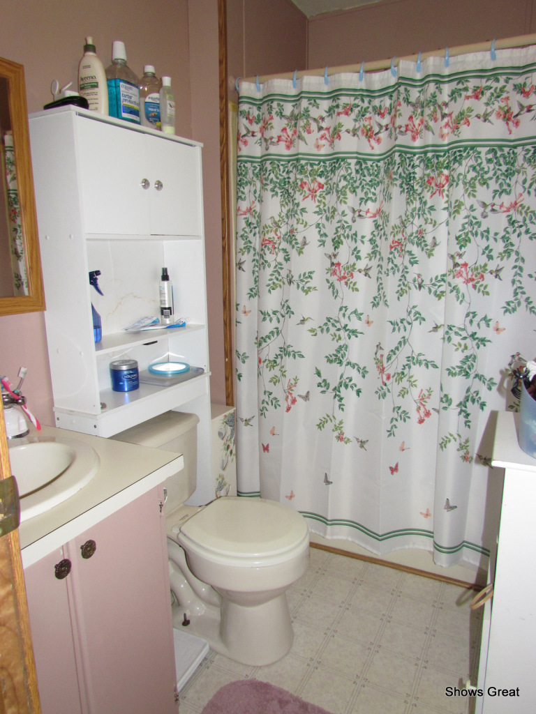 2820 Mountain View Church Road Blue Ridge, VA 24064 - Photo 13 of 17 Bath