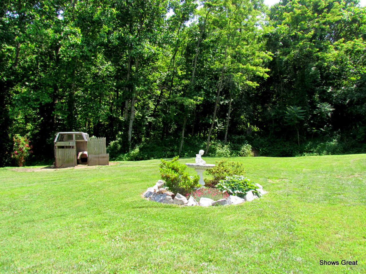 2820 Mountain View Church Road Blue Ridge, VA 24064 - Photo 17 of 17 Yard