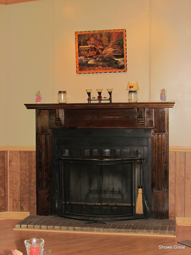 2820 Mountain View Church Road Blue Ridge, VA 24064 - Photo 4 of 17 Fireplace