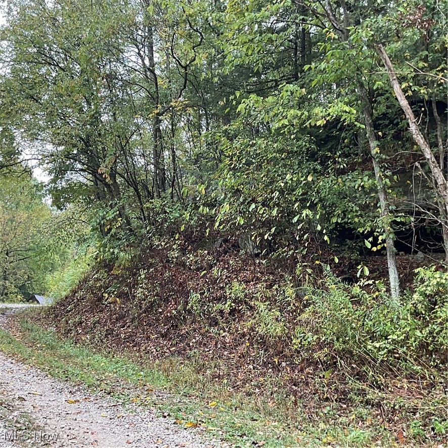 2105 Cicerone Road Walton, WV 25286 - Photo 6 of 23