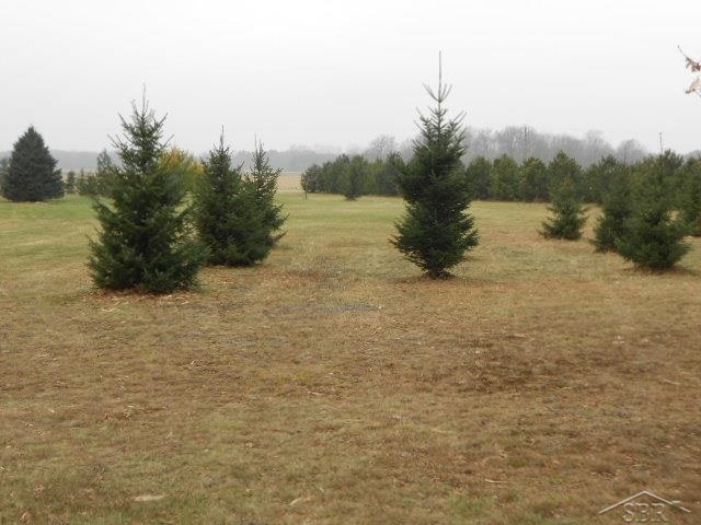 2470 Pruess Road Hemlock, MI 48626 - Photo 14 of 15