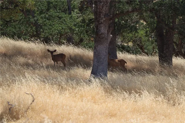 a bathroom with a sink a mirror and shower