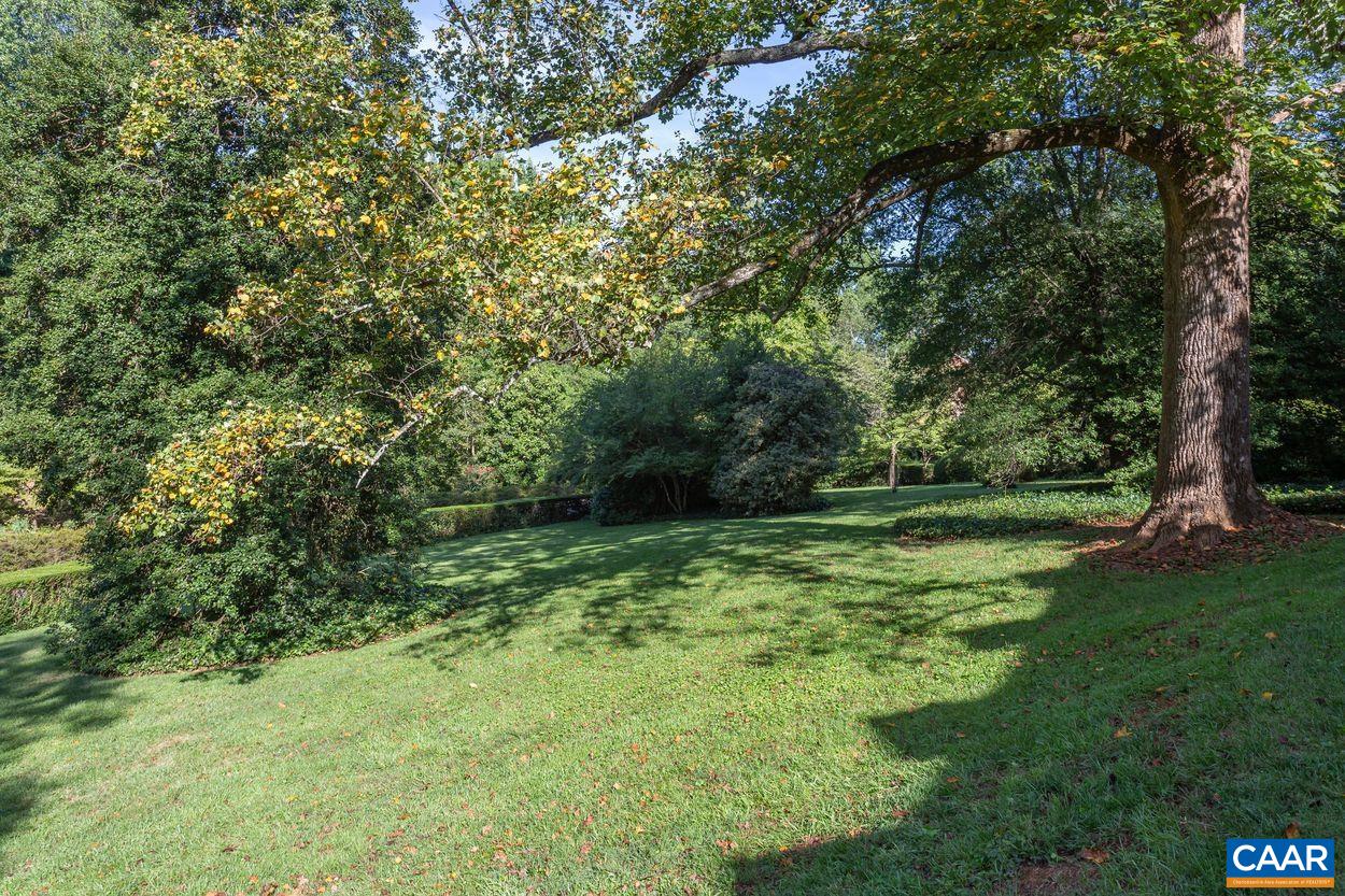 1310 Blue Ridge Road Charlottesville, VA 22903 - Photo 47 of 50 a yard with large trees