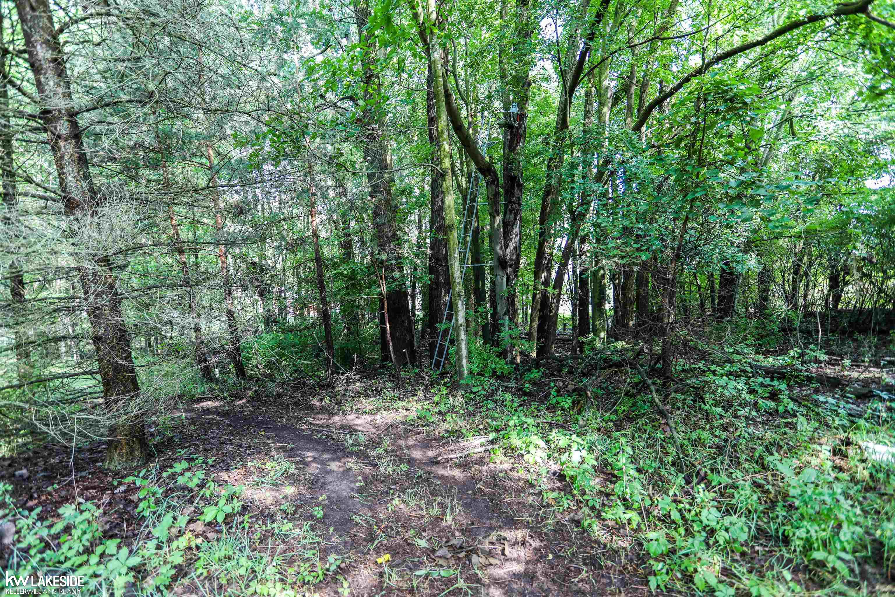 80700 Coon Creek Road Armada, MI 48005 - Photo 34 of 67 50085808-33.JPG