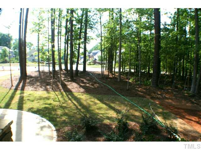 1400 Trinity Road, Unit LOT16 Cary, NC 27513 - Photo 5 of 25 a view of swimming pool from a outdoor space