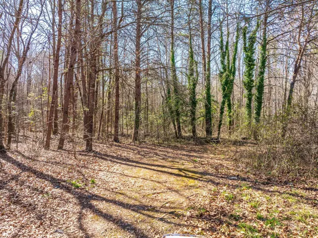 $275,000 | 0 Brown Sanders Road, Spartanburg, SC 29307