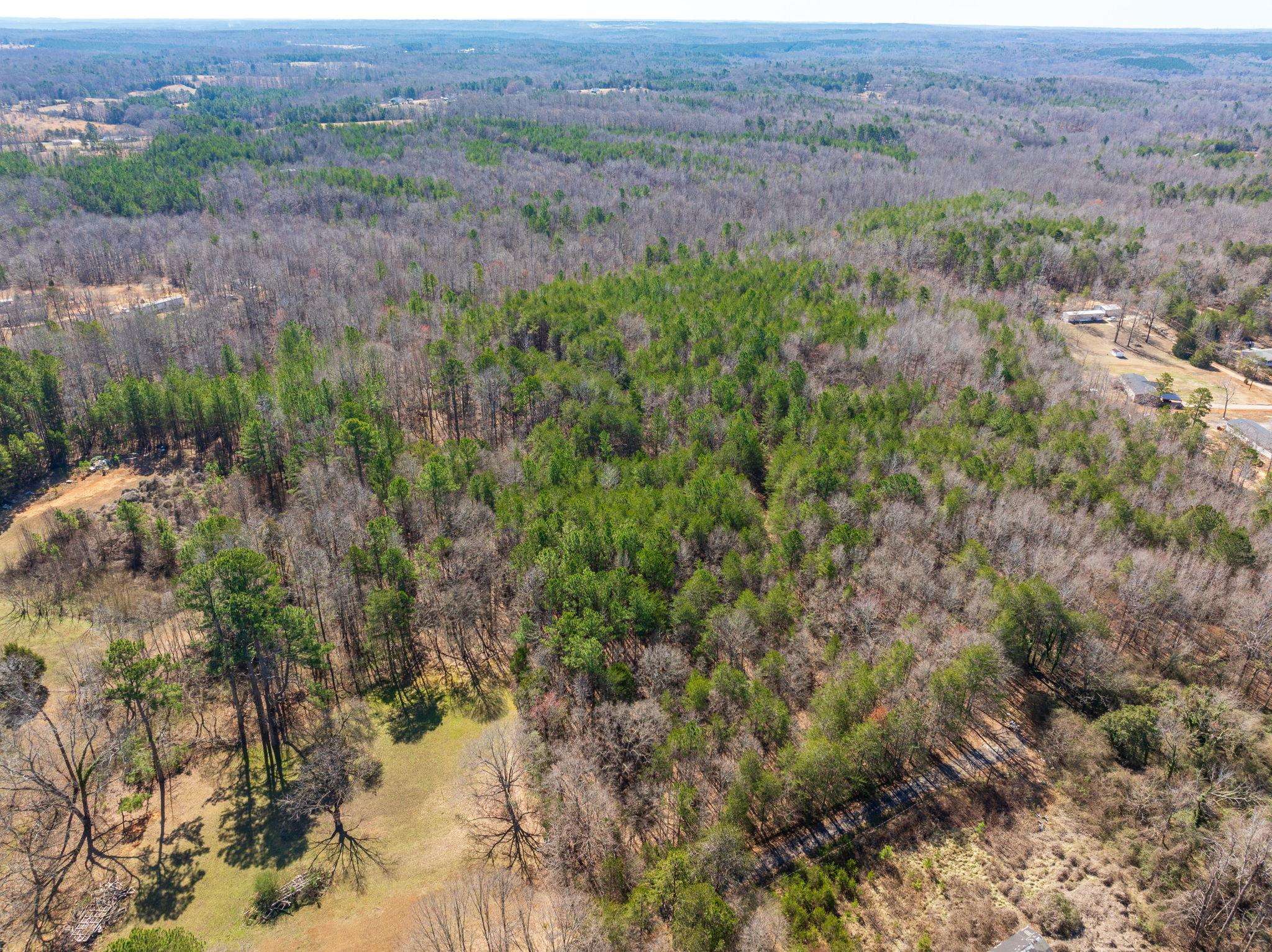 0 Brown Sanders Road Spartanburg, SC 29307 - Photo 11 of 16
