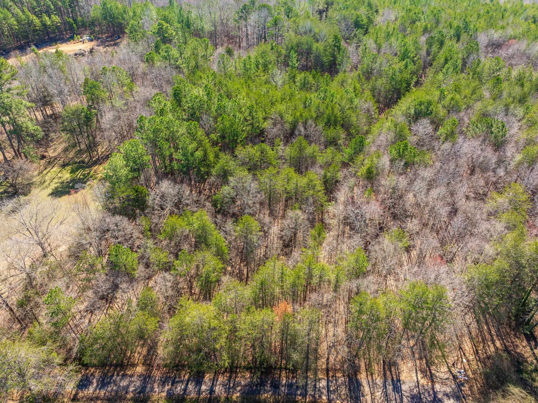 0 Brown Sanders Road Spartanburg, SC 29307 - Photo 13 of 16