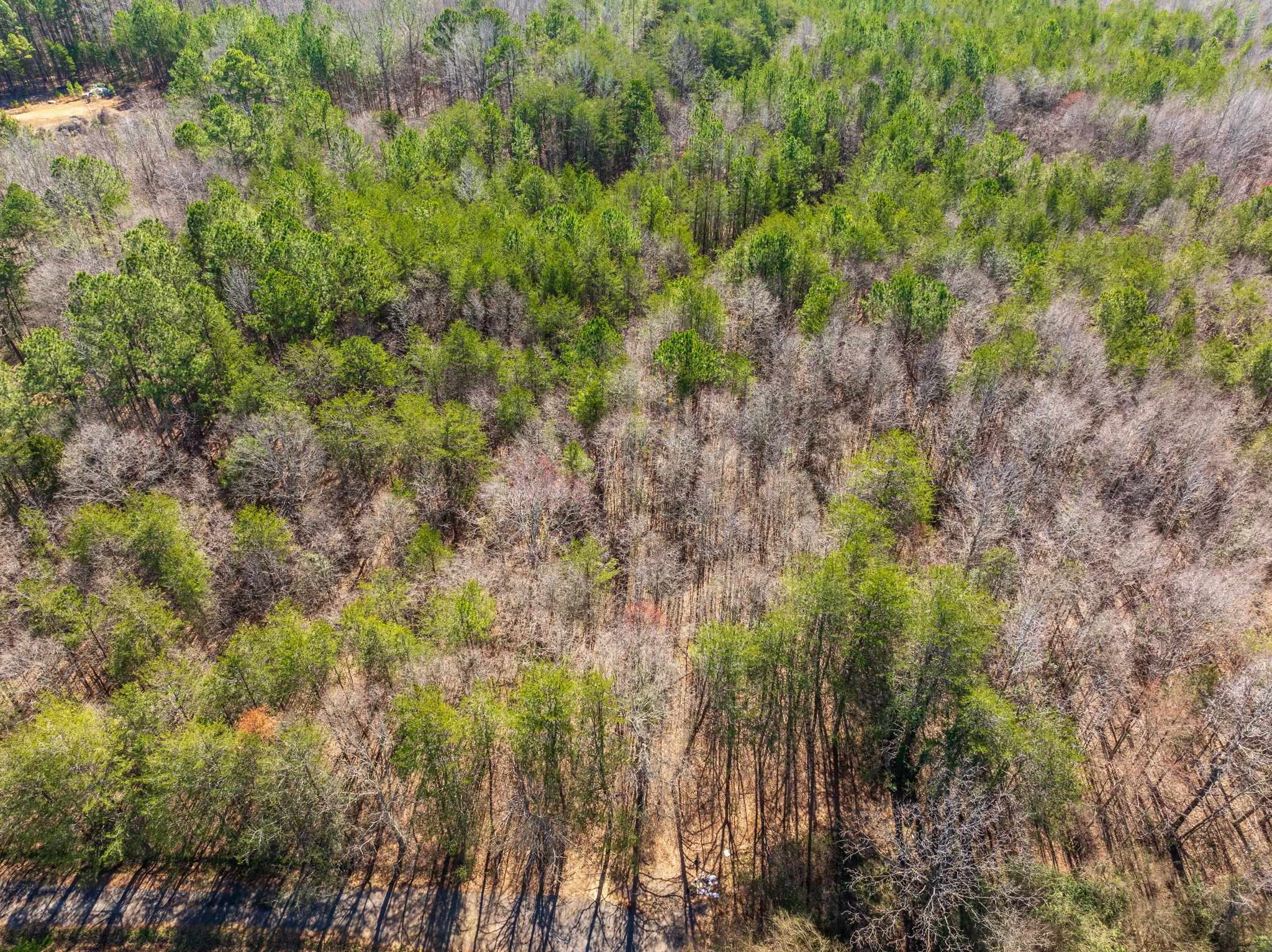 0 Brown Sanders Road Spartanburg, SC 29307 - Photo 14 of 16