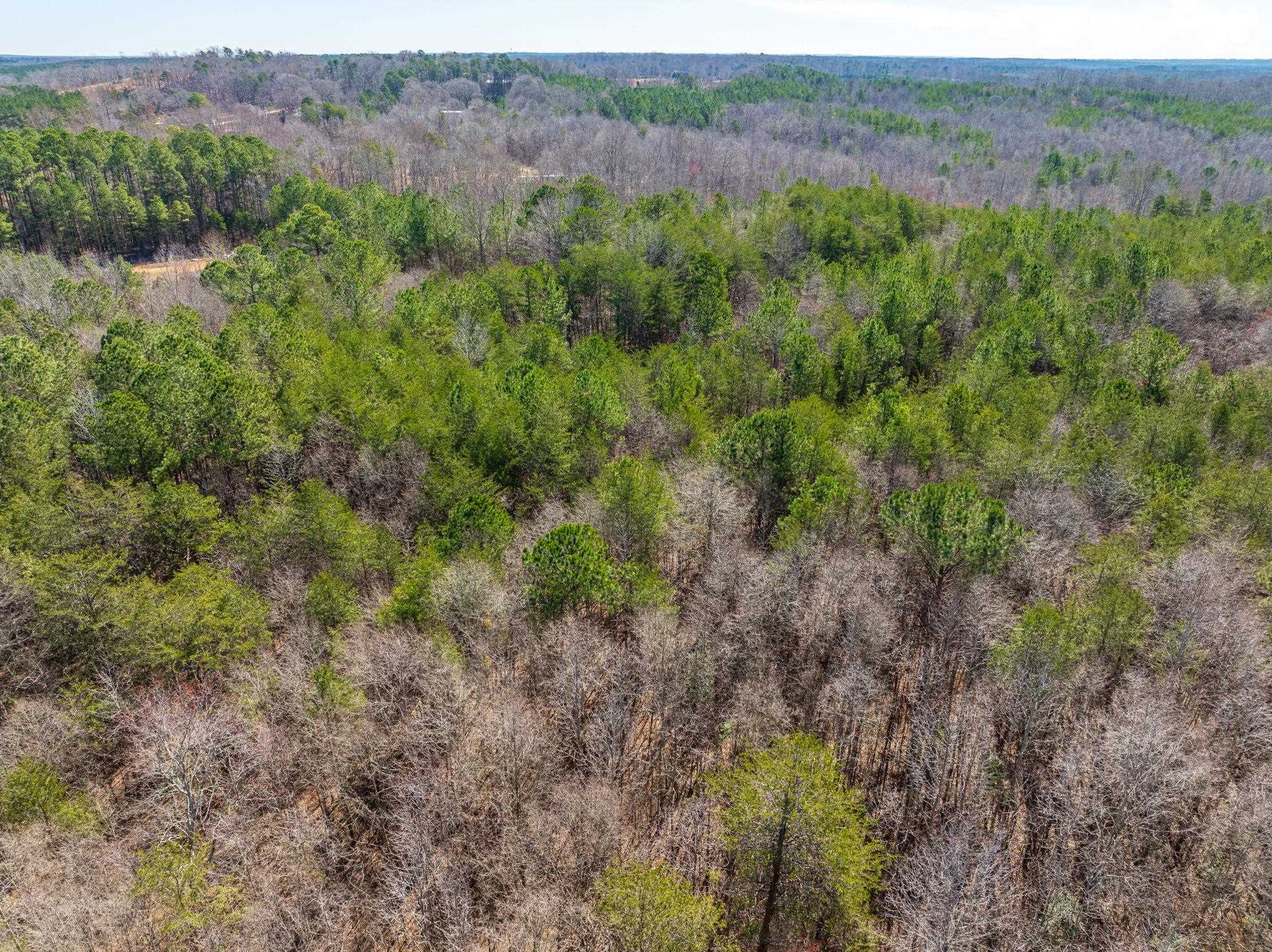 0 Brown Sanders Road Spartanburg, SC 29307 - Photo 15 of 16