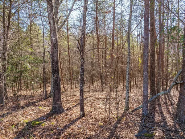 $275,000 | 0 Brown Sanders Road, Spartanburg, SC 29307