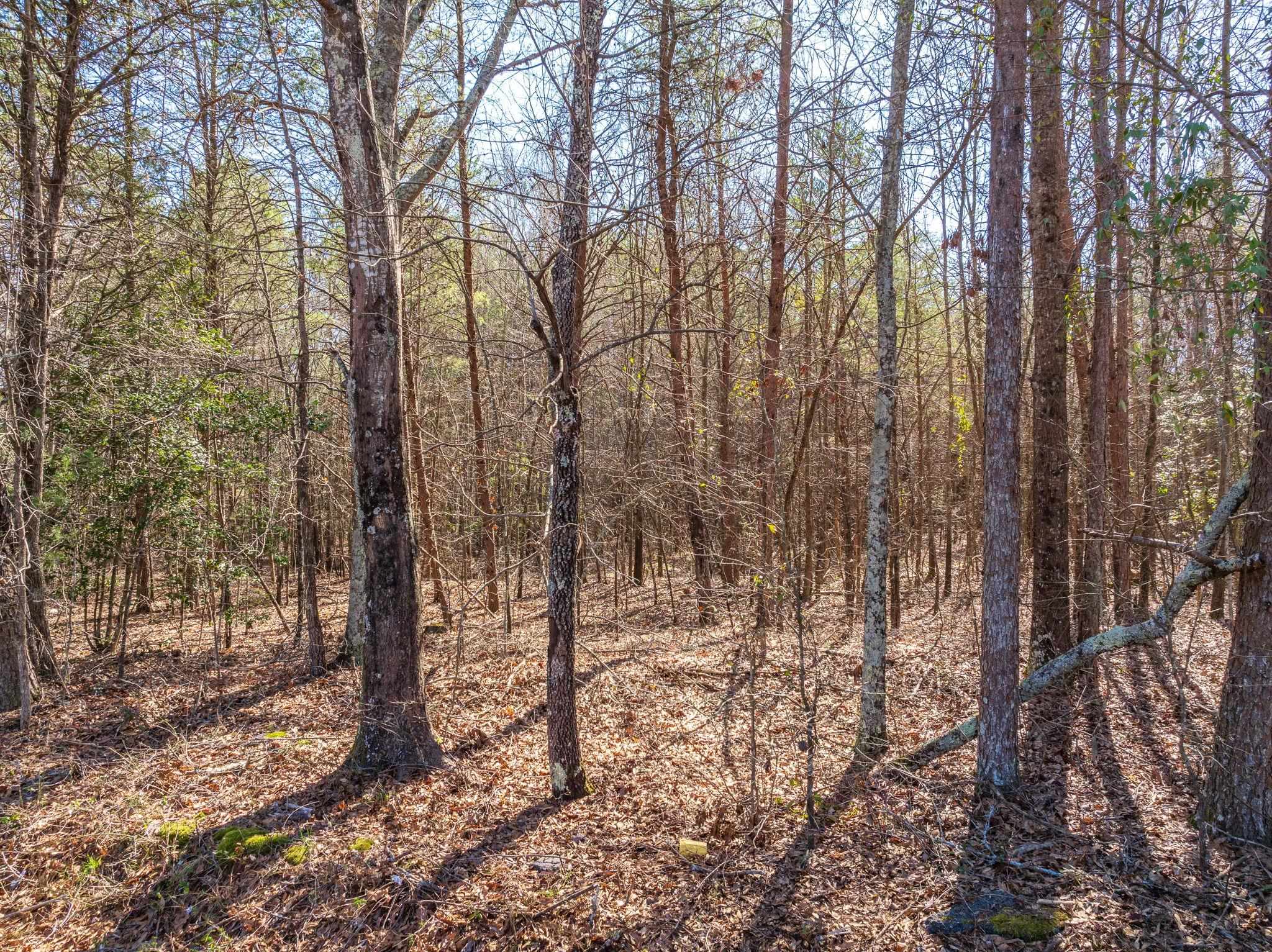 0 Brown Sanders Road Spartanburg, SC 29307 - Photo 3 of 16