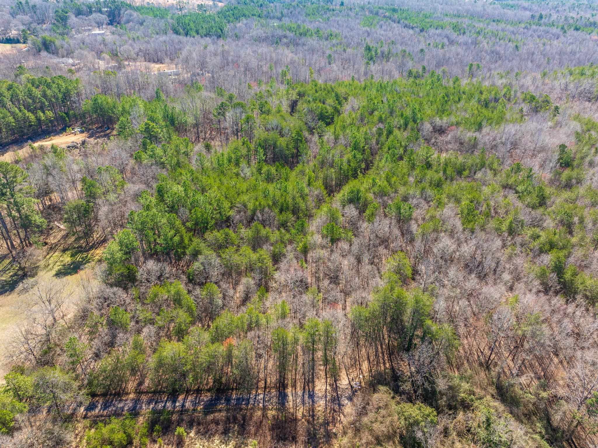 0 Brown Sanders Road Spartanburg, SC 29307 - Photo 4 of 16