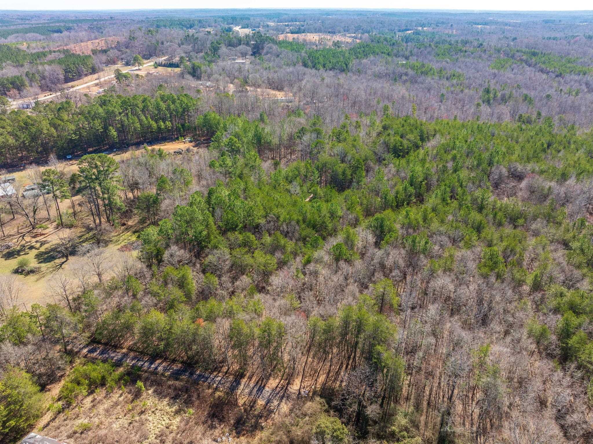 0 Brown Sanders Road Spartanburg, SC 29307 - Photo 6 of 16