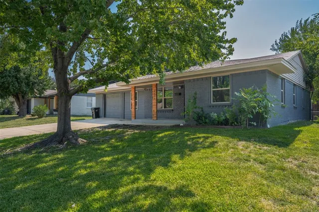 a backyard of a house with plants and large tree
